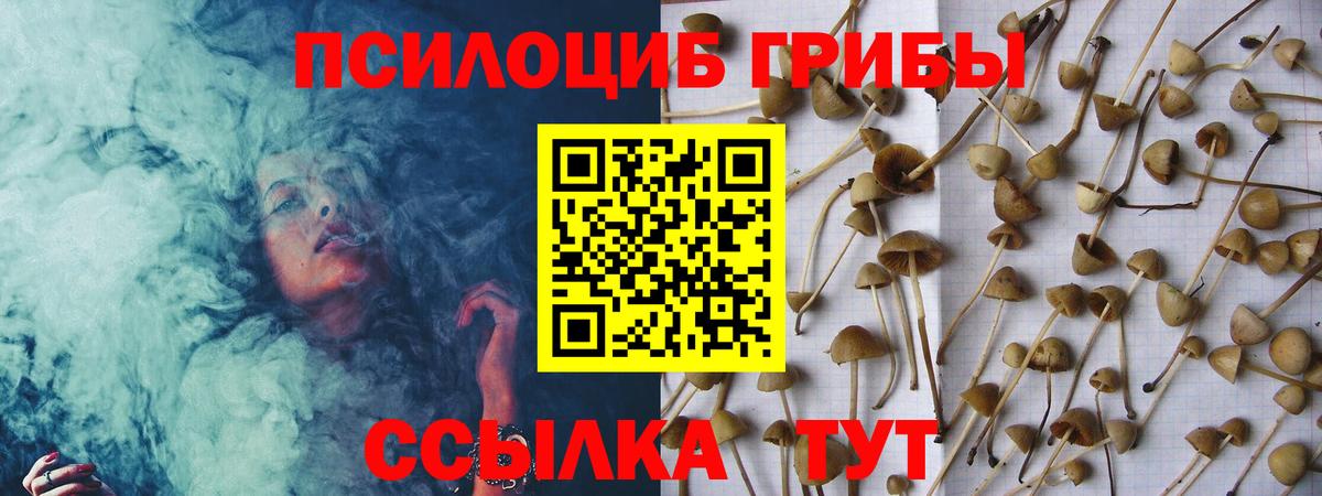 Канск  Галлюциногенные грибы ЛСД  Вход с VPN 