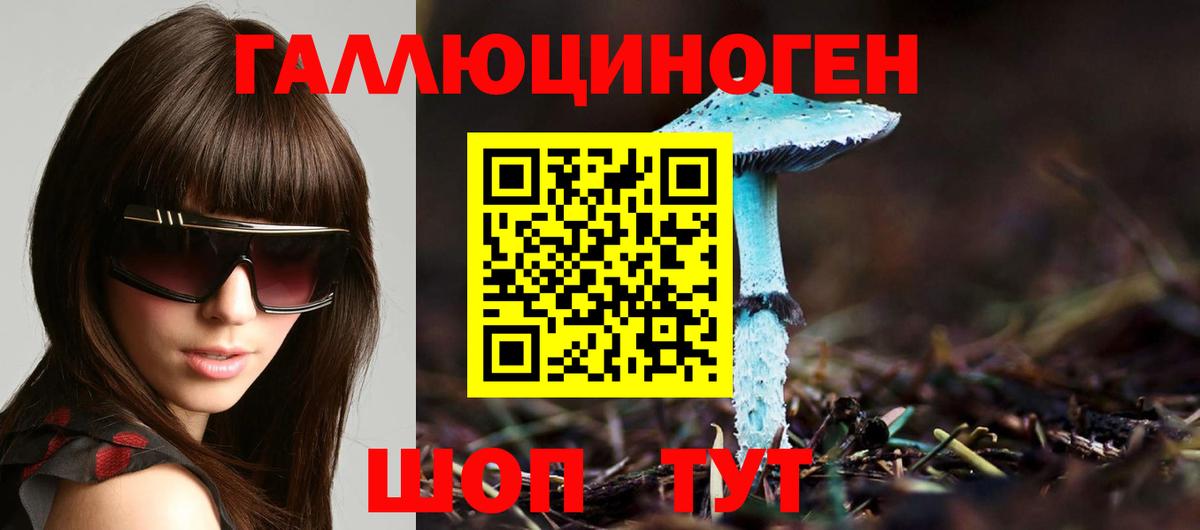 Псилоцибиновые грибы прущие грибы Канск